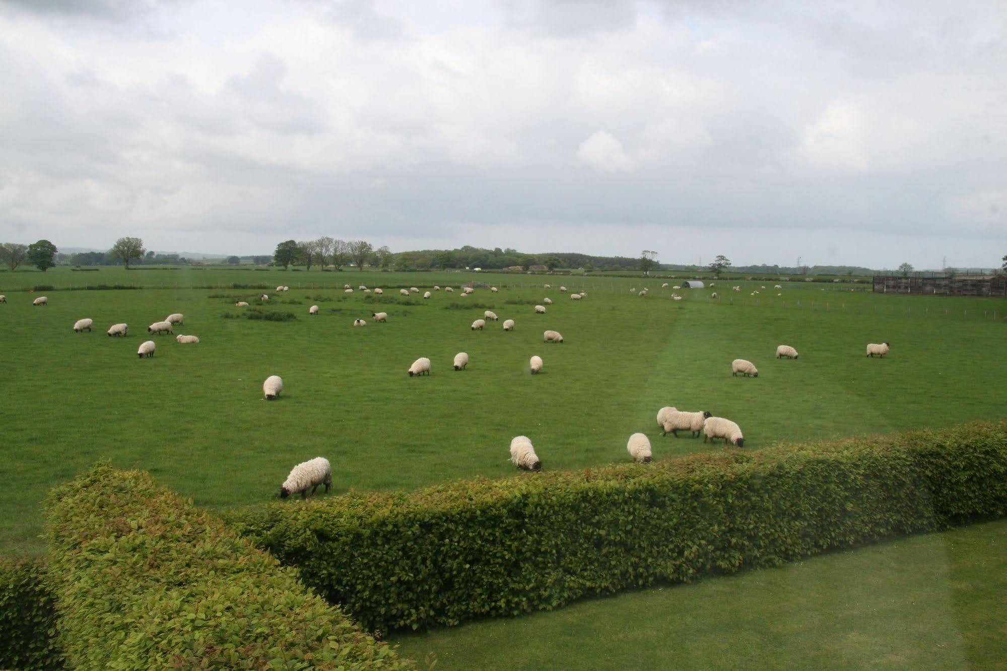 Northumberland Cottage B&B Acklington Екстер'єр фото