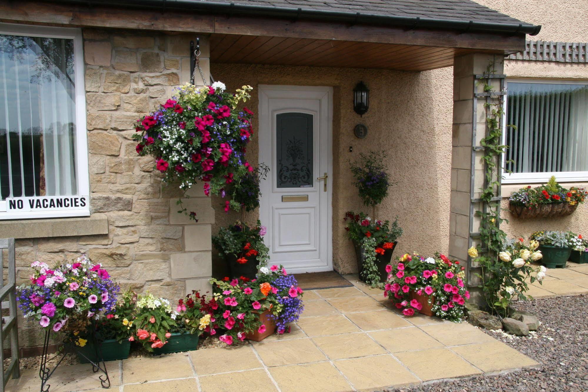 Northumberland Cottage B&B Acklington Екстер'єр фото